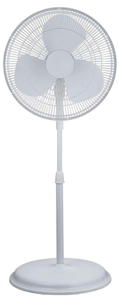fan-2